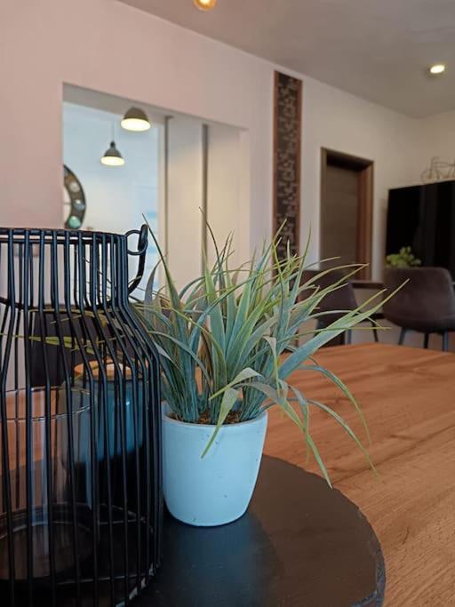 Holiday&Suite Klanac Вир Экстерьер фото
