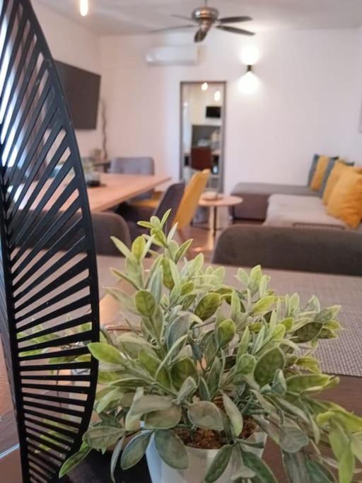 Holiday&Suite Klanac Вир Экстерьер фото